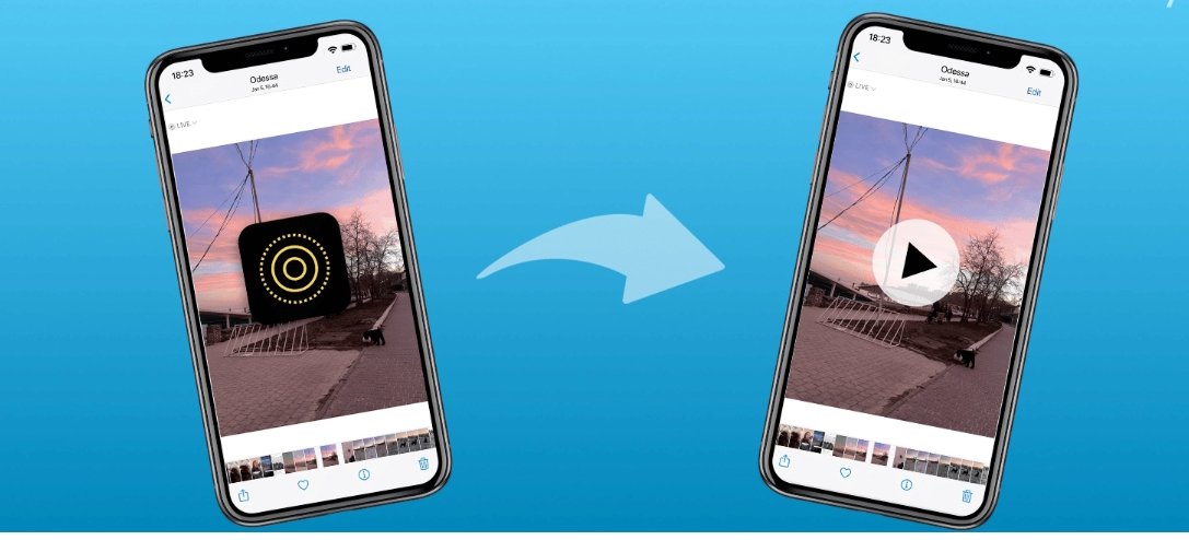 Как превратить Live Photo в видеоклип на iPhone, iPad и Mac