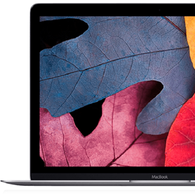 Ремонт Macbook 12 A1534 в Киеве